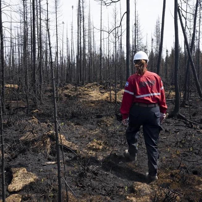 Hydro-Qu茅bec workers, vulnerable Cree community members evacuated due to wildfires